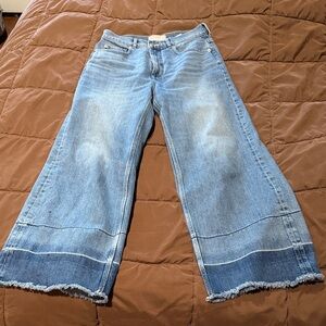 Everlane The Way-High Sailor Jean Tint Blue size 28 Wide-Leg Jeans